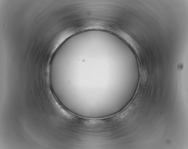 X0000090861290200708101211