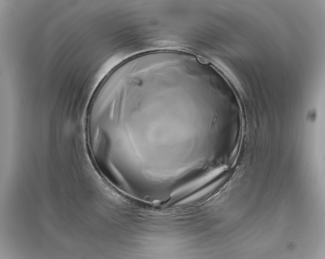 X0000090861291200708101211