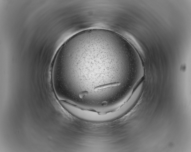 X0000090861292200708101211