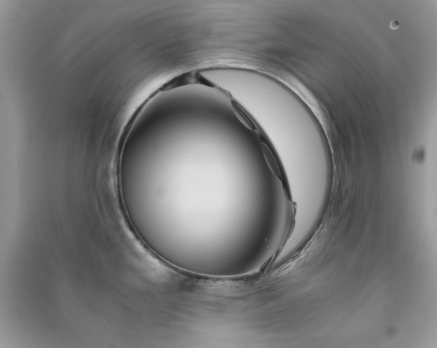 X0000090861293200708101211