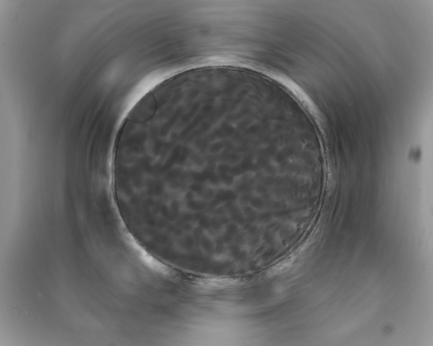 X0000090861294200708101211