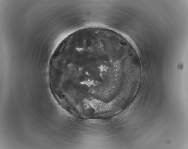 X0000090861295200708101211