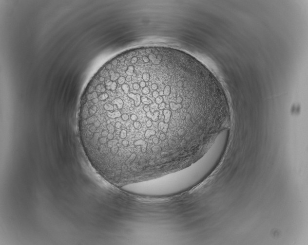 X0000090861296200708101211