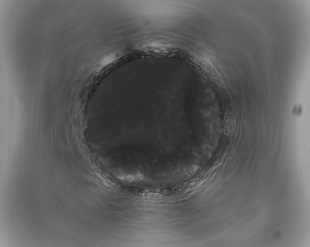 X0000090861297200708101211