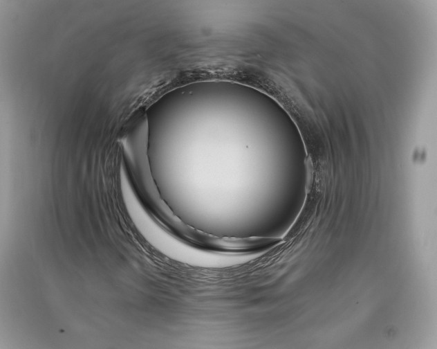 X0000090861298200708101211