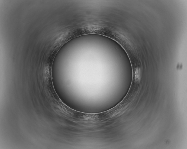 X0000090861299200708101211