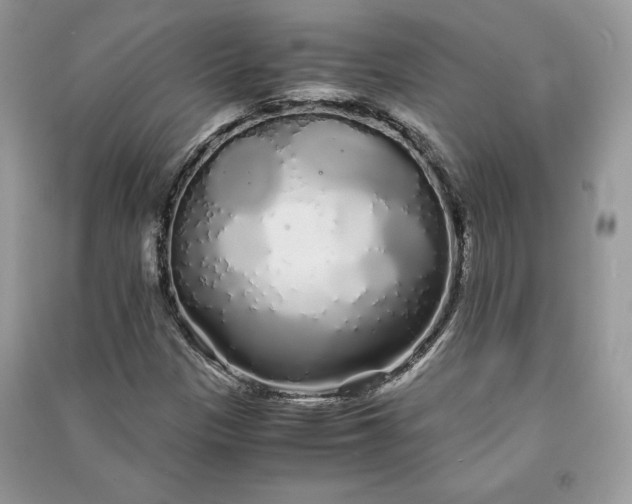 X0000090861305200708101211