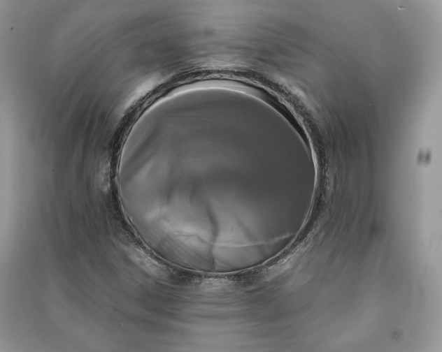 X0000090861306200708101211