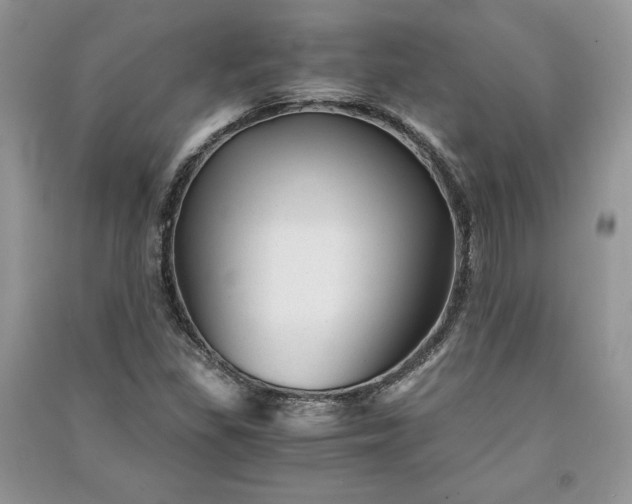 X0000090861309200708101211