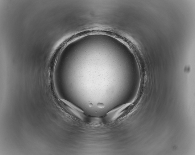 X0000090861310200708101211