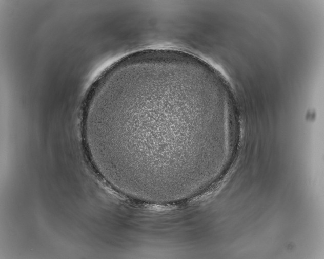 X0000090861311200708101211