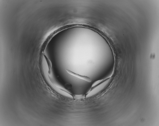 X0000090861312200708101211