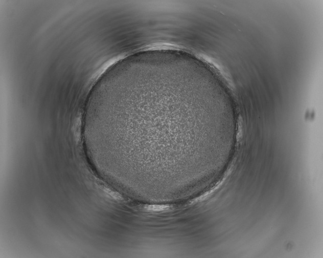 X0000090861313200708101211