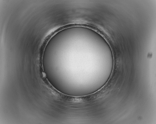 X0000090861315200708101211