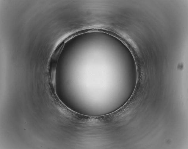 X0000090861316200708101211