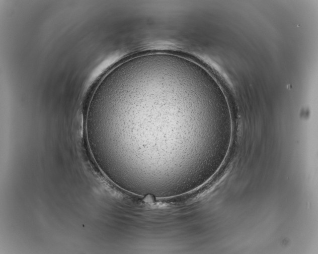 X0000090861317200708101211