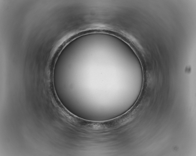 X0000090861318200708101211