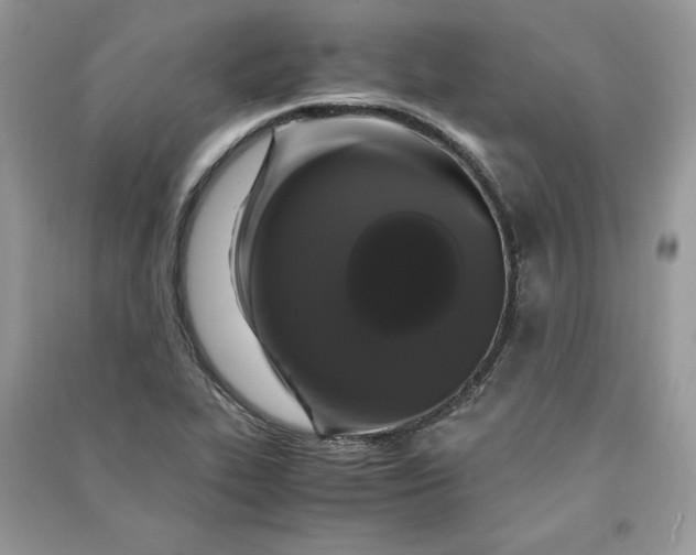 X0000090861319200708101211