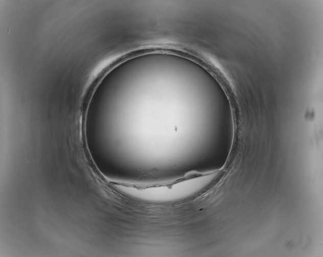 X0000090861320200708101211