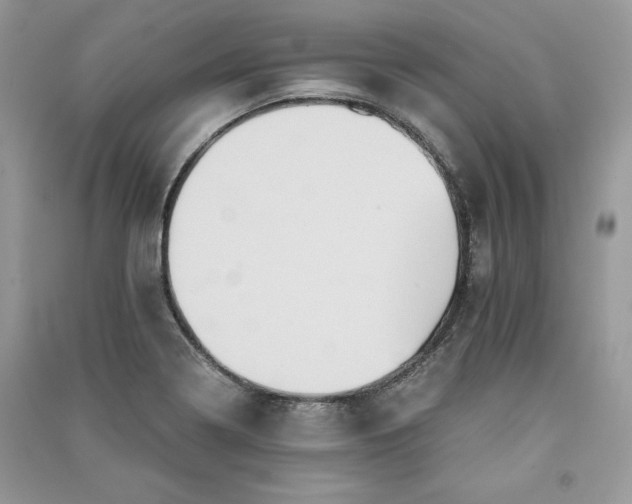 X0000090861322200708101211