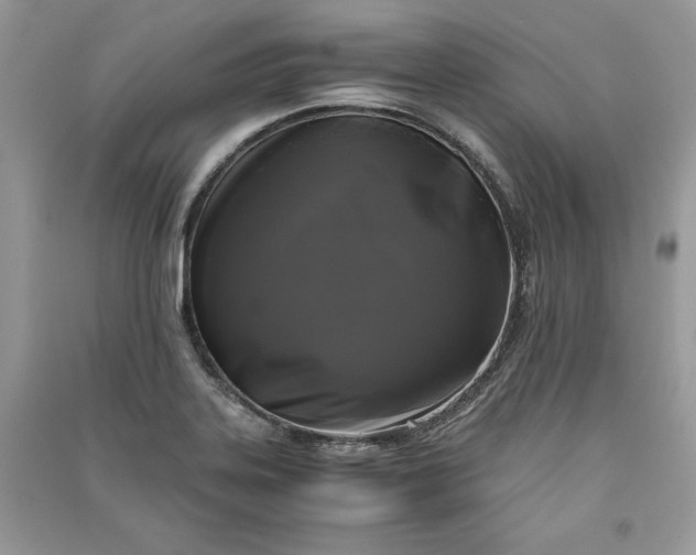 X0000090861323200708101211