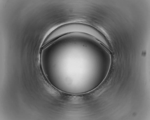 X0000090861324200708101211