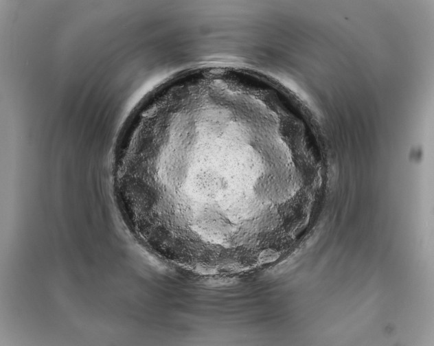 X0000090861325200708101211