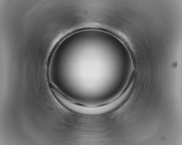 X0000090861326200708101211