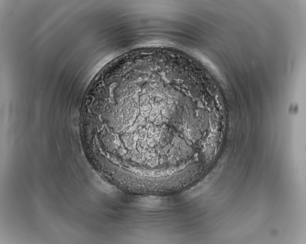 X0000090861329200708101211