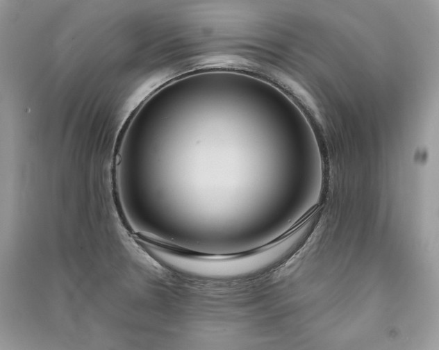 X0000090861330200708101211