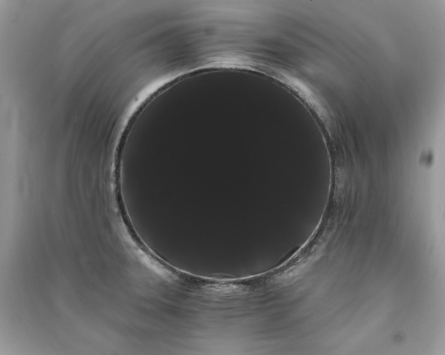 X0000090861331200708101211