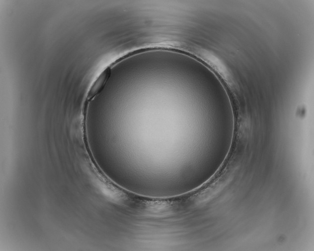 X0000090861332200708101211