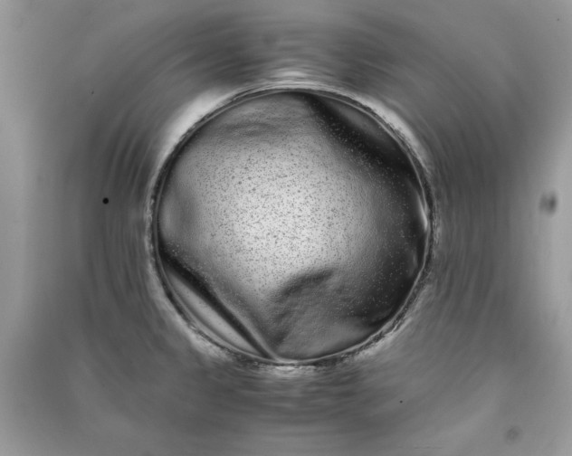 X0000090861333200708101211