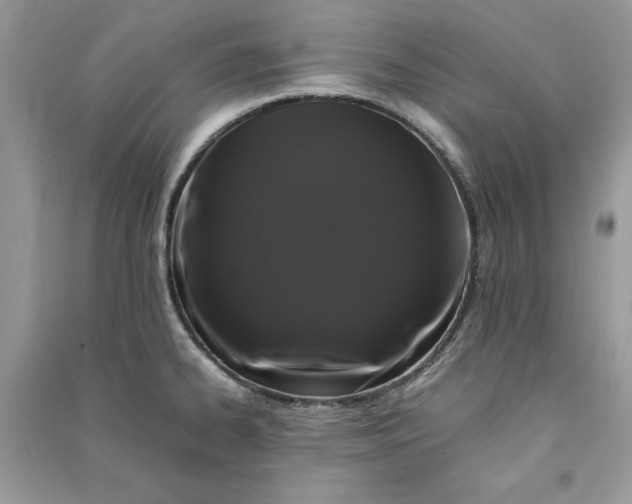 X0000090861334200708101211