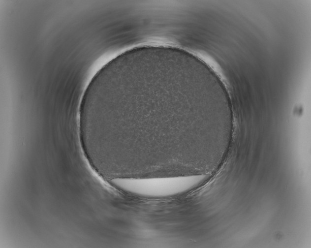 X0000090861335200708101211