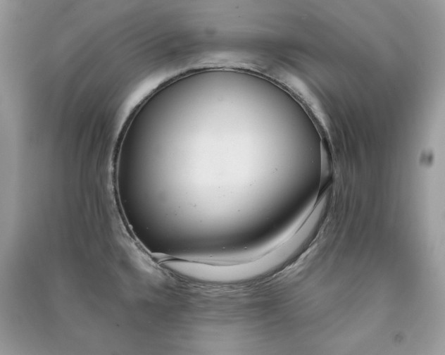 X0000090861336200708101211