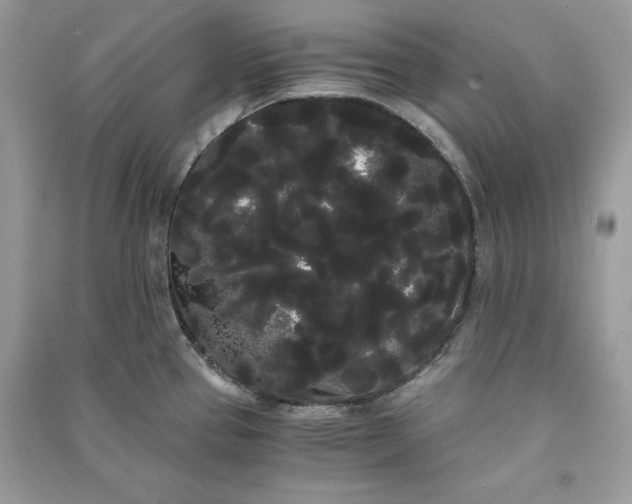 X0000090861337200708101211