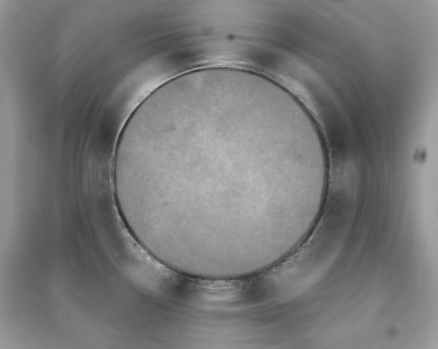 X0000090861338200708101211