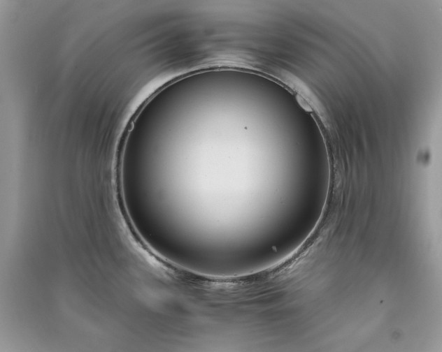 X0000090861339200708101211