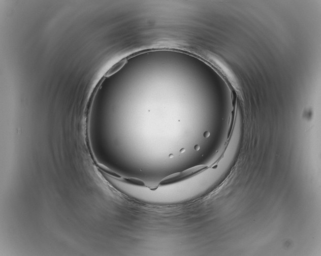 X0000090861340200708101211