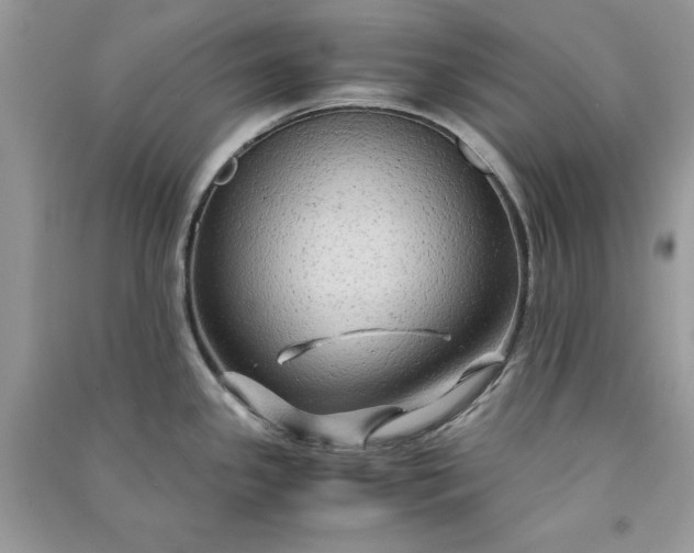 X0000090861341200708101211