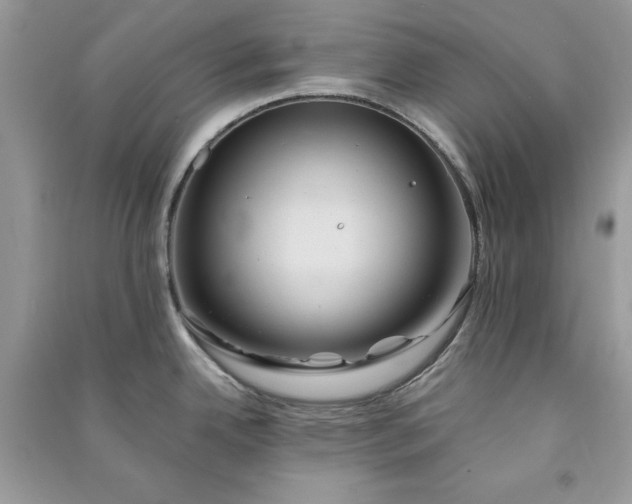 X0000090861342200708101211