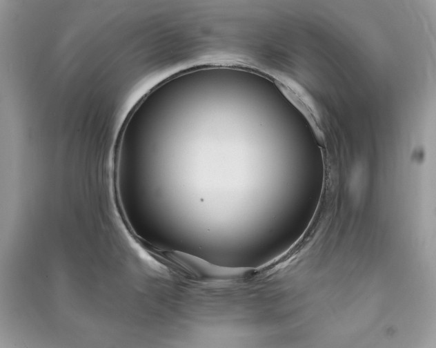 X0000090861343200708101211