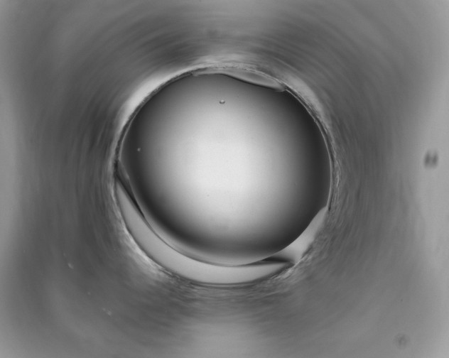 X0000090861344200708101211