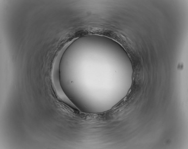 X0000090861345200708101211