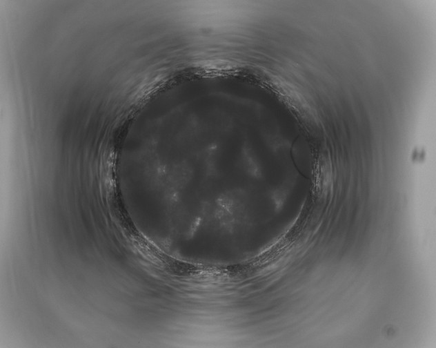 X0000090861346200708101211