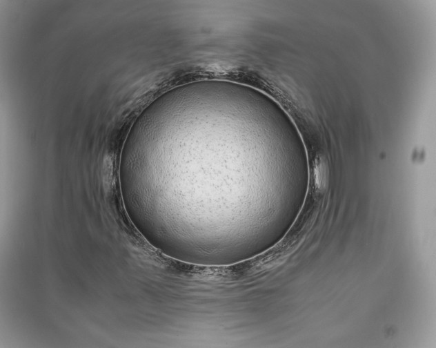 X0000090861347200708101211