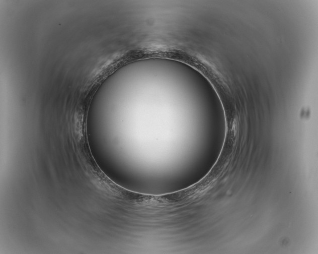 X0000090861348200708101211