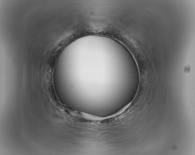 X0000090861349200708101211