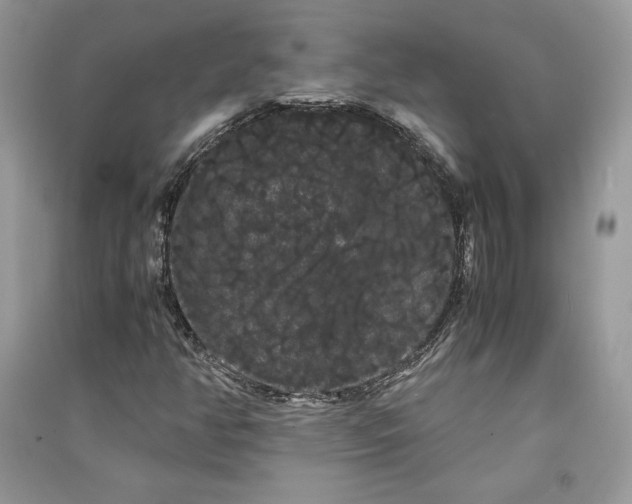 X0000090861350200708101211